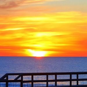 Meet your Posher, Raegan